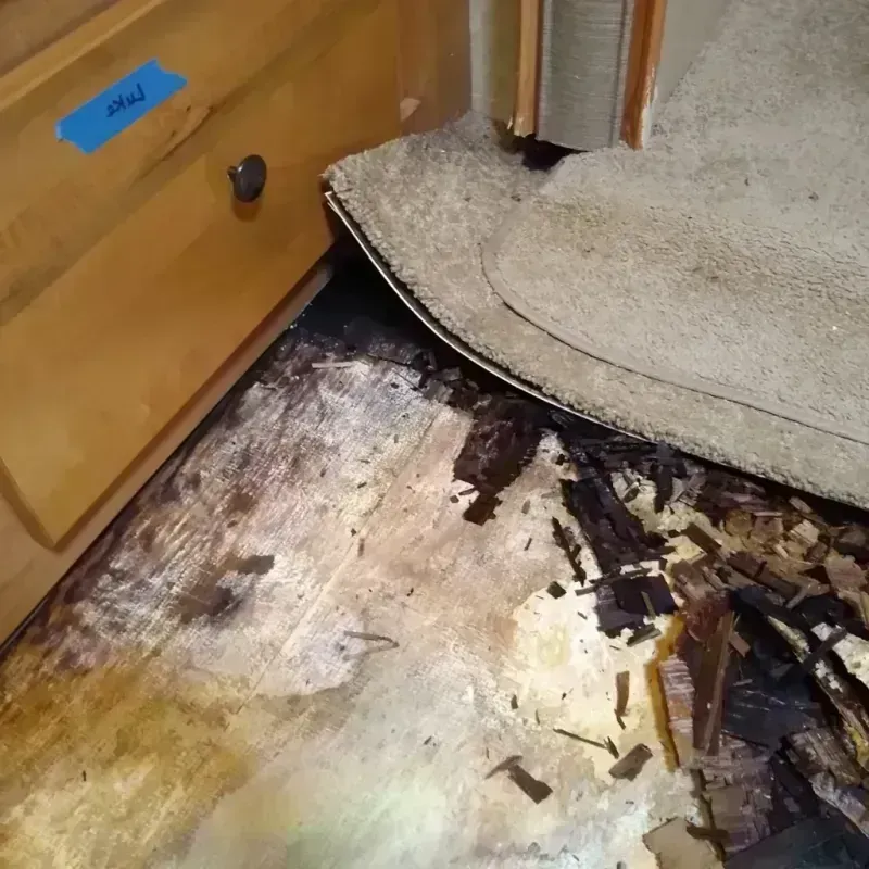 Wood Floor Water Damage in Columbia, MD